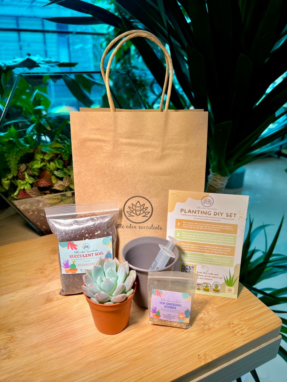 Succulent DIY set in Polymer Pot (10 sets)