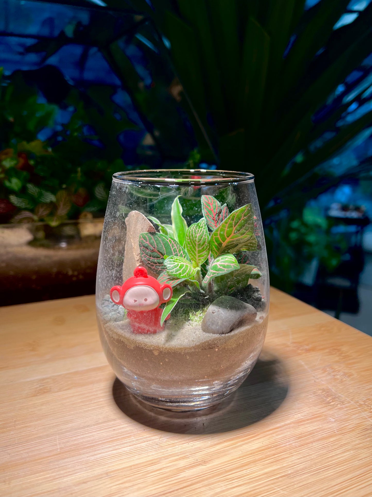 Fittonia and Chlorophytum with Moss Arrangement in Tall Glass