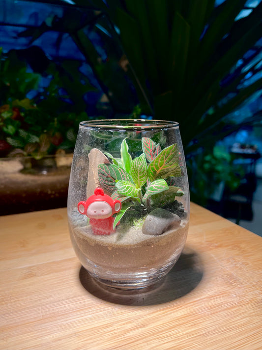Fittonia and Chlorophytum with Moss Arrangement in Tall Glass