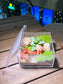 Indoor Plant Arrangement in Arcylic Terrarium