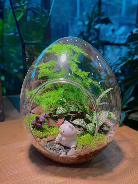 Fittonia and Asparagus Fern with Moss Arrangement in Eggette Glass