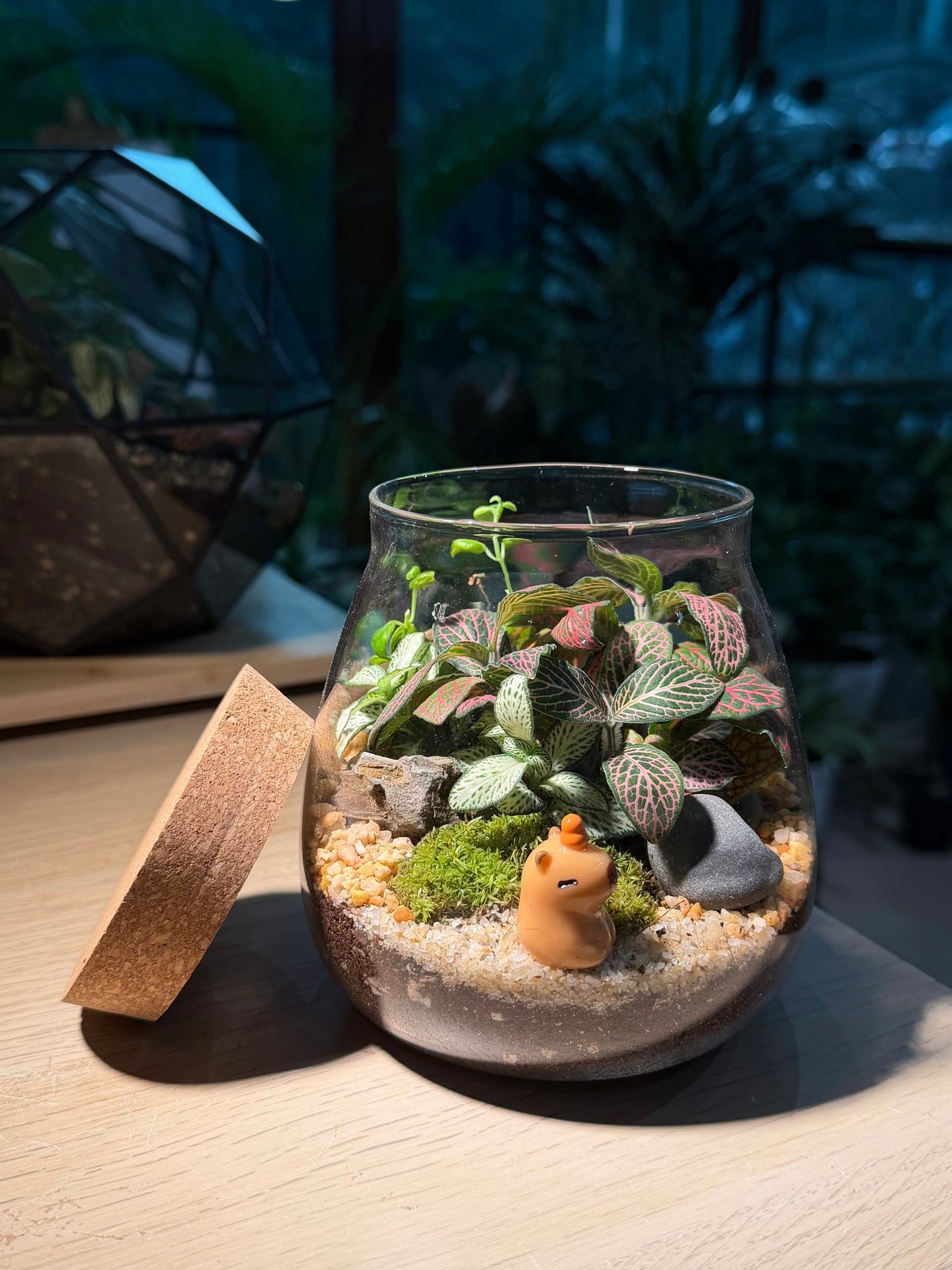 Fittonia with Moss (Indoor Plant) Arrangement in Water Drop Glass Terrarium (S)