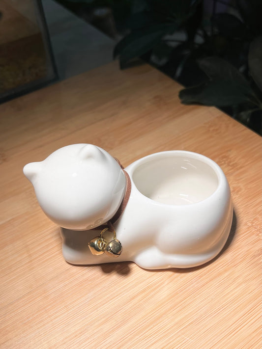Cuddly White Cat Ceramic Pot