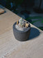 Cactus (仙人掌) Thimble Cactus Landscape in Textured Charcoal Black Ceramic Pot
