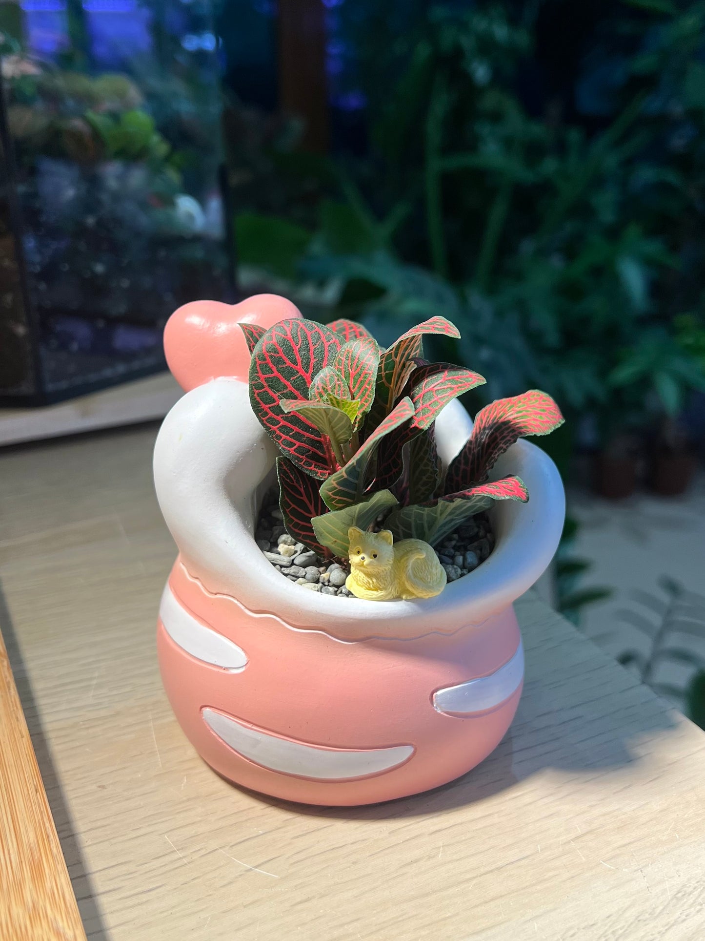 Fittonia in Lovely Heart Pot