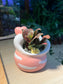 Fittonia in Lovely Heart Pot