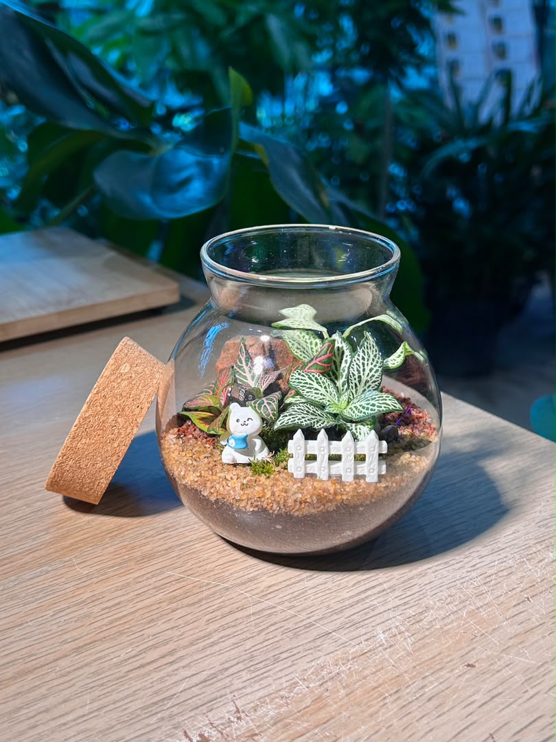 Indoor Plant Arrangement Fittonia & Moss (网纹草 & 苔藓) in Round Covered Glass (S)