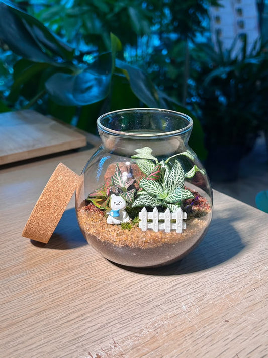 Indoor Plant Arrangement Fittonia & Moss (η½ηΊΉθ & θθ) in Round Covered Glass (S)