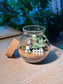 Indoor Plant Arrangement Fittonia & Moss (网纹草 & 苔藓) in Round Covered Glass (S)