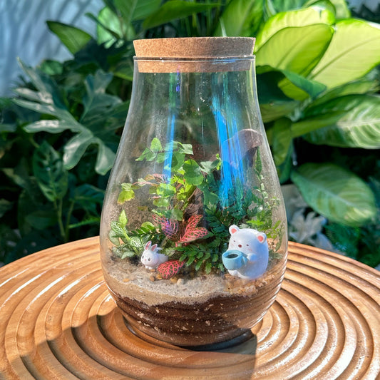 Fittonia and Fern in Glass Jar Terrarium with Cork