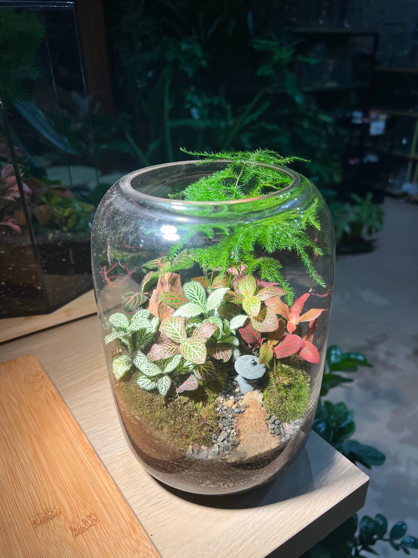 Garden Landscape Terrarium