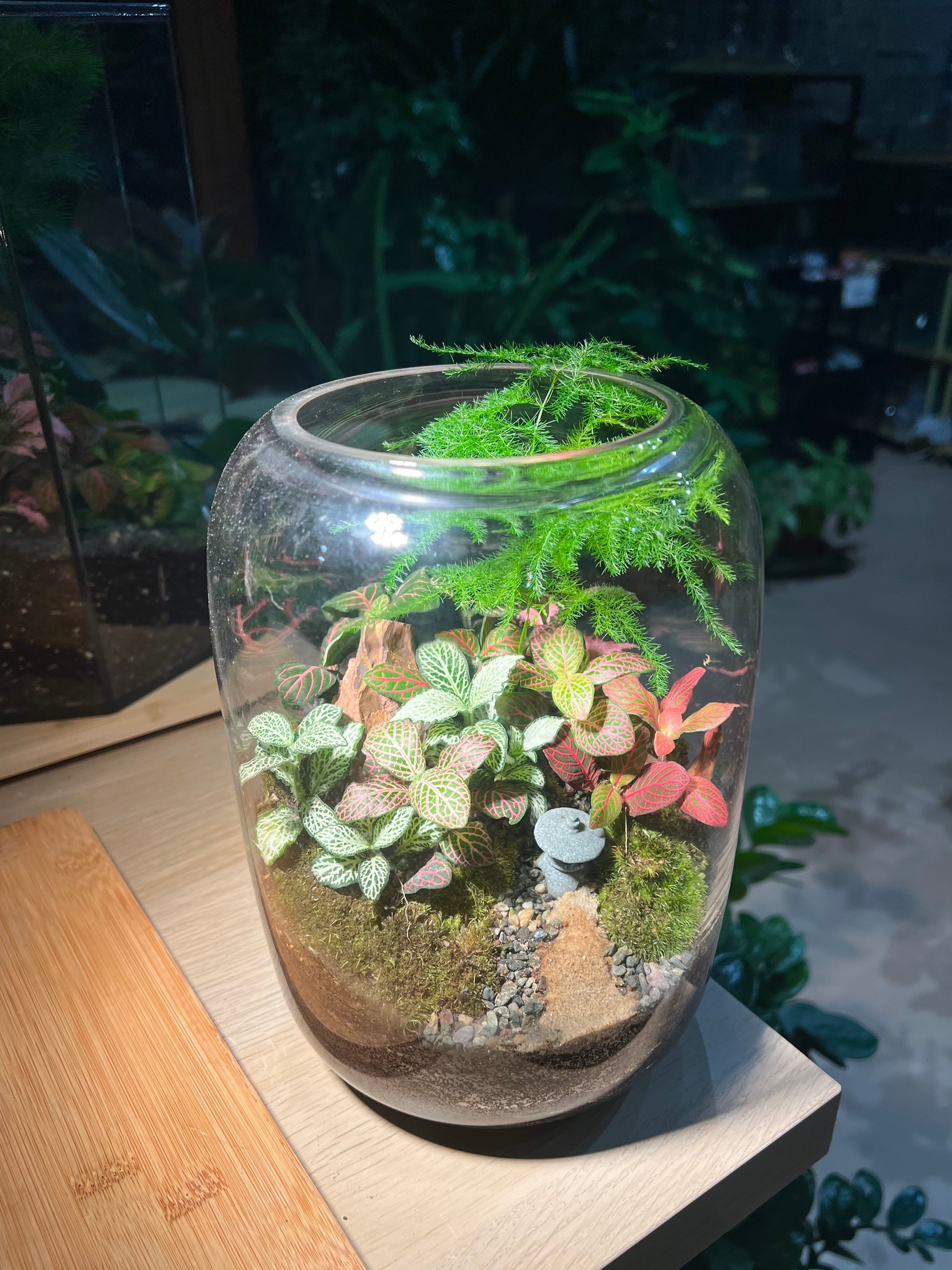 Garden Landscape Terrarium