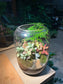 Garden Landscape Terrarium
