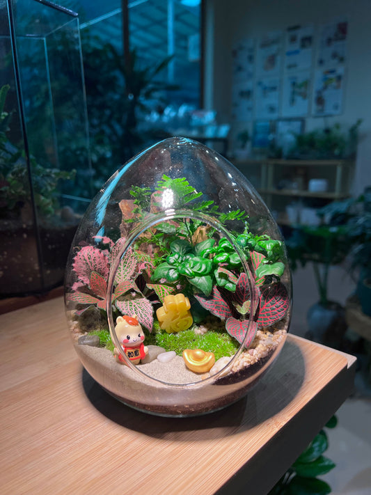 Fittonia and Bubble Plant with Moss Arrangement in Eggette Glass (L)