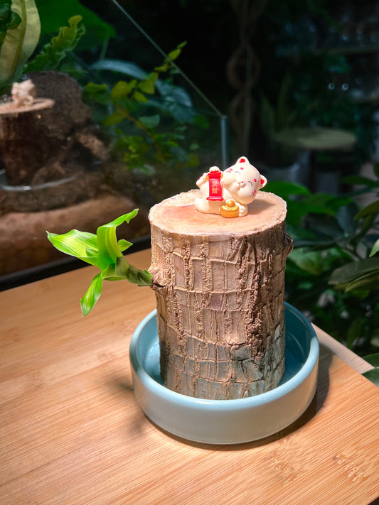 Brazil Wood with Fortune Cat Figurine