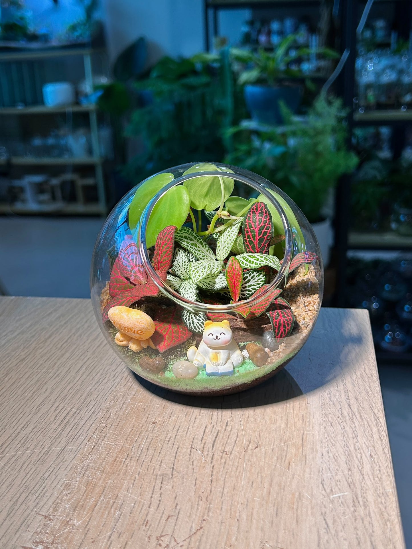 Indoor Plant Terrarium in Round Glass (L)