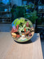 Indoor Plant Terrarium in Round Glass (L)