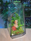 Indoor Plant Arrangement Pumila & Fittonia & Fern (薜荔 & 网纹草 & 蕨类) in Black Frame Polygonal Slim Glass with Lid