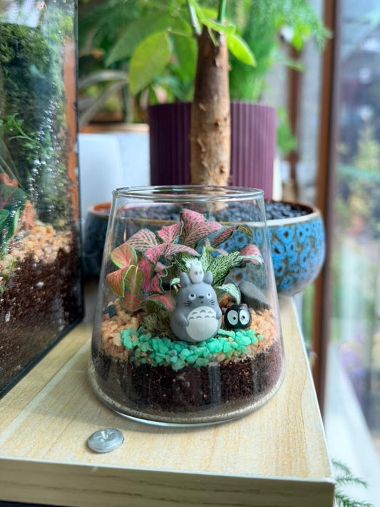 Indoor Plant Terrarium in Fuji Glass