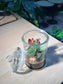 Indoor Plant Terrarium in Glass Jar (M)