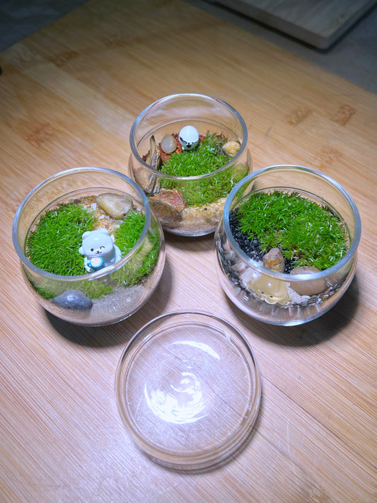 Moss Arrangement in Tea Glass Terrarium