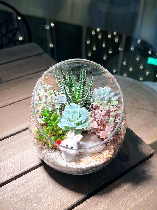 Succulent Arrangement in Slanted Glass Terrarium