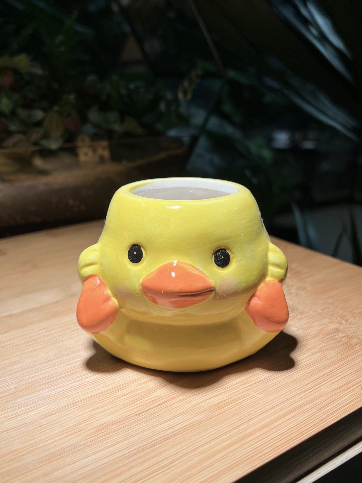 Yellowish Duckie Ceramic Pot