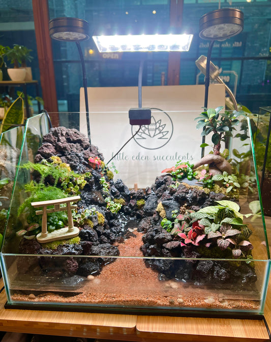 Customade Indoor Plant Arrangement in Serene Forestscape with Waterfall Paludarium Setup