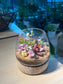Succulent Arrangement in Muji Glass with Wooden Base Terrarium