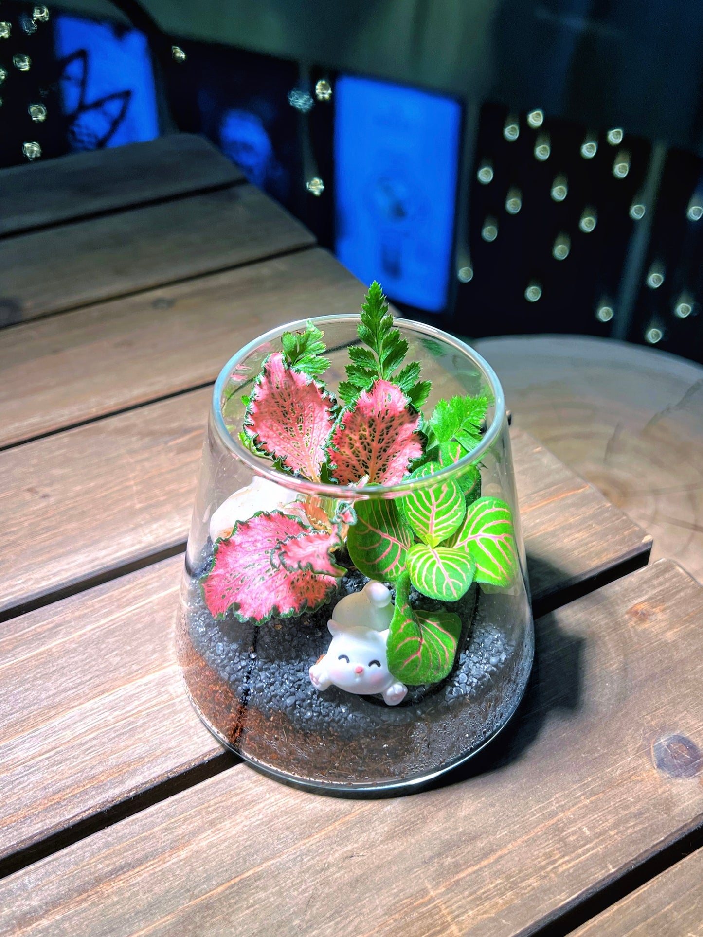 Fittonia & Fern Arrangement in Fuji Glass