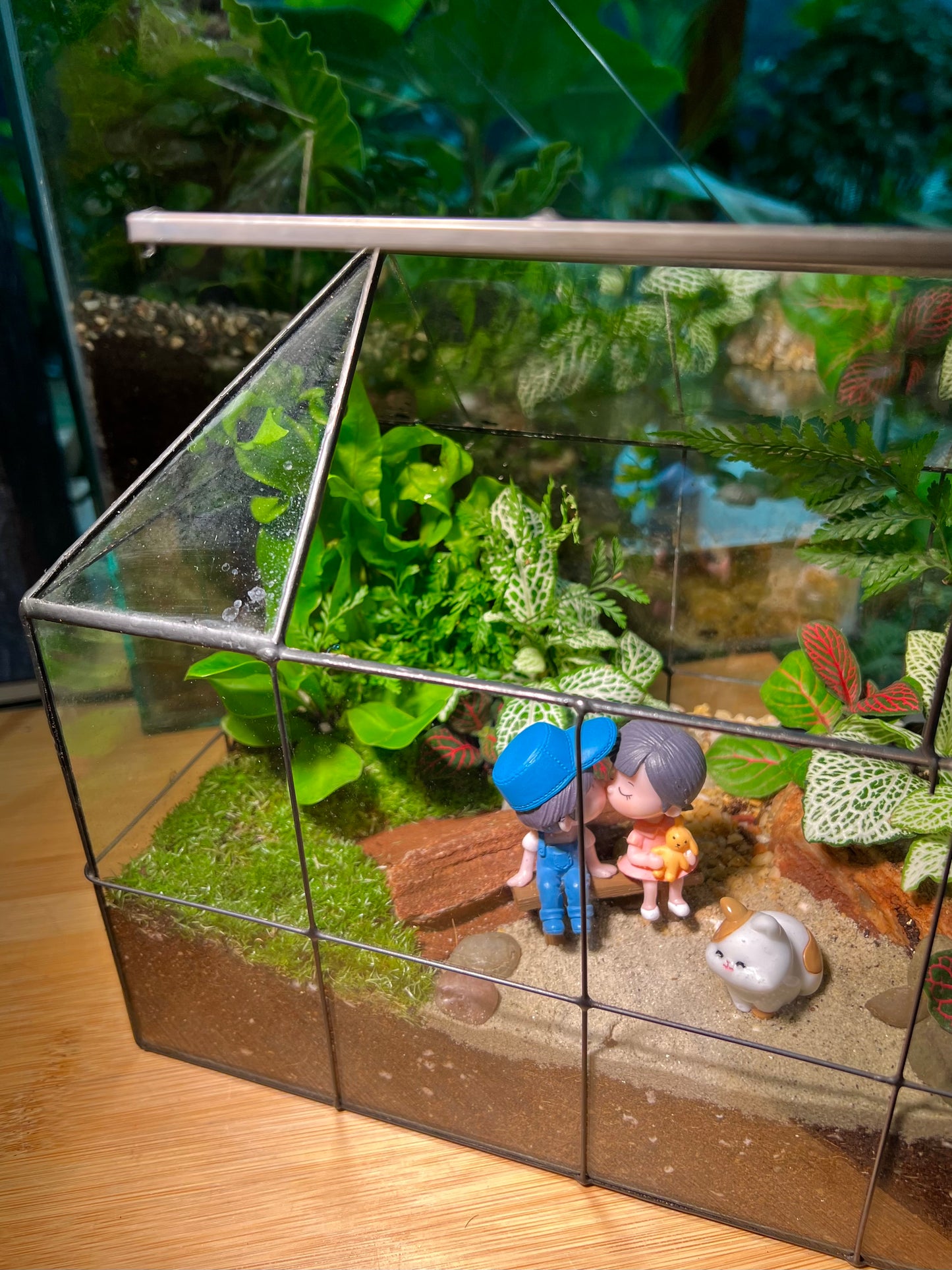 Fittonia and Fern with Moss Arrangement in Black Grid Glasshouse Terrarium (M)