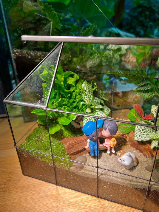Fittonia and Fern with Moss Arrangement in Black Grid Glasshouse Terrarium (M)