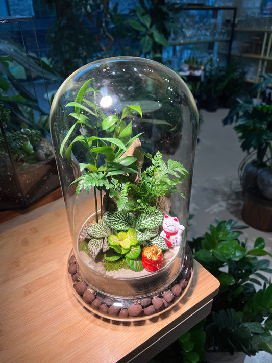 Fittonia and Fern with Moss Arrangement in Bell Glass Terrarium (L)