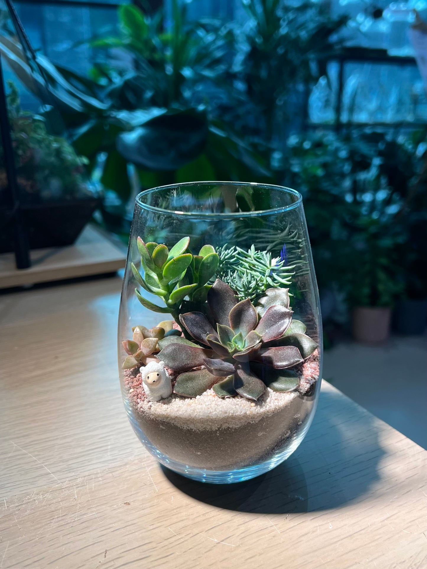 Succulent Terrarium in Tall Glass