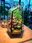 Indoor Plant Arrangement Asparagus Fern & Fittonia & Pumila (文竹 & 网纹草 & 薜荔) in Black Polygonal Tall Glass with Lid (M)
