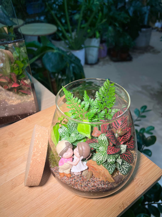 Valentine Gift - Fittonia and Fern with Moss Arrangement in Water Drop Glass with Lid (S)