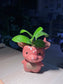Peperomia in Bear Pot