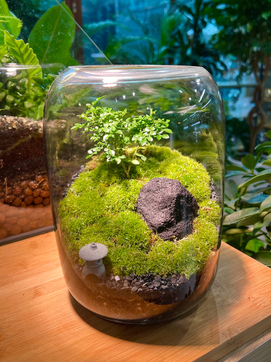 Moss and Muraya Arrangement in Tall Fishbowl Glass without Lid
