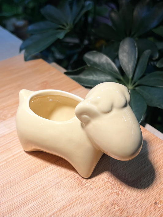 Fearful Horse Ceramic Pot