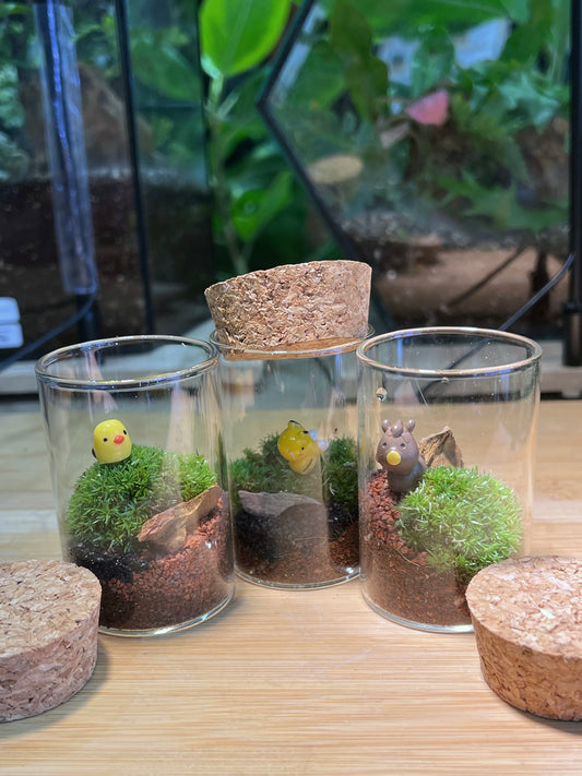 Moss Arrangement in Tall Cylindrical Glass (S)