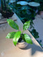 Peace Lily (白掌) in Matt Textured Claypot
