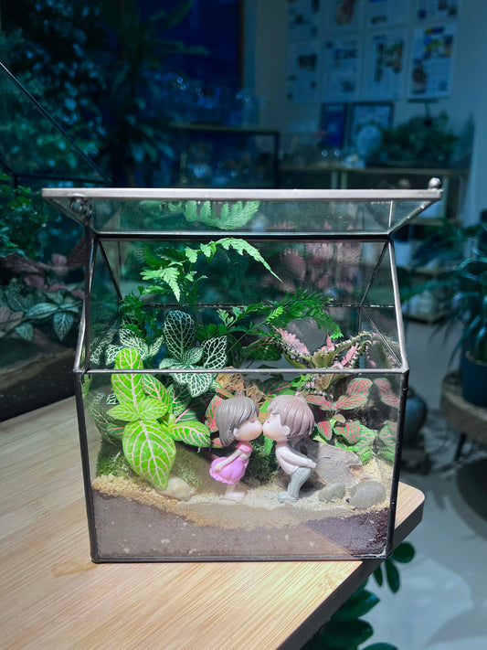 Valentine Gift - Fittonia and Fern with Moss Arrangement in Black Frame Glasshouse (S)