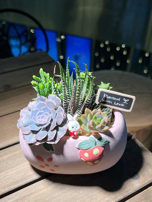 Succulent Arrangement in Strawberry 🍓 Ceramic Pot