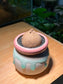 Stephania in Tricolor Ceramic Pot