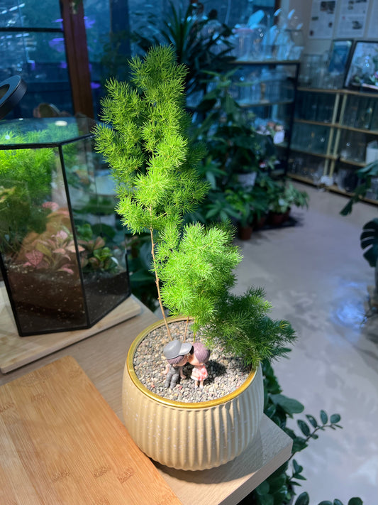 Ming Fern in Light Yellowish Ceramic Pot with Couple Figurines