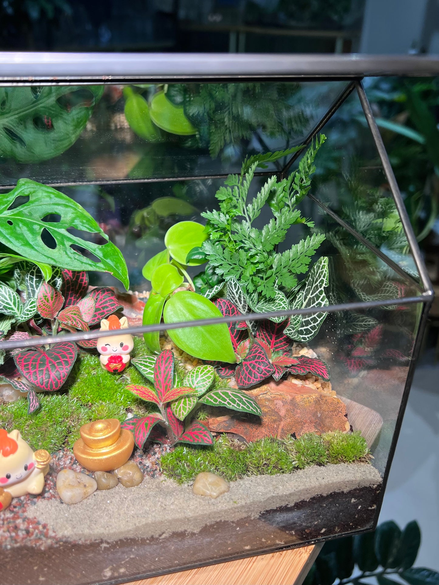 CNY Theme - Fittonia, Fern and Monstera Arrangement in Black Frame Glasshouse Terrarium (M)