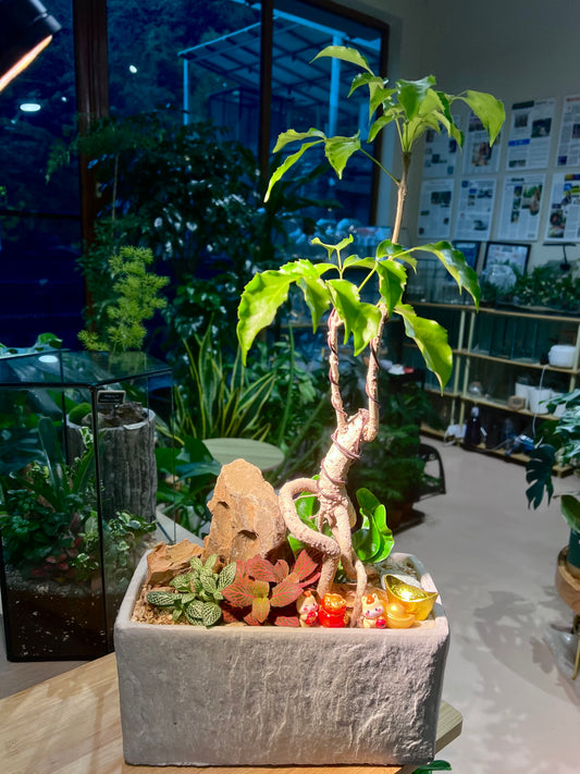 Fittonia, Fern and Bonsai Arrangement in Greyish Rectangle Ceramic Pot with Horseh Figurines