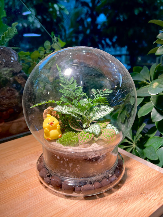 Fittonia & Fern with Moss Arrangement in Clear Dome Glass Terrarium