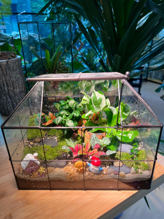 Christmas Theme - Fittonia and Fern with Moss Arrangement in Black Grid Glasshouse (M)