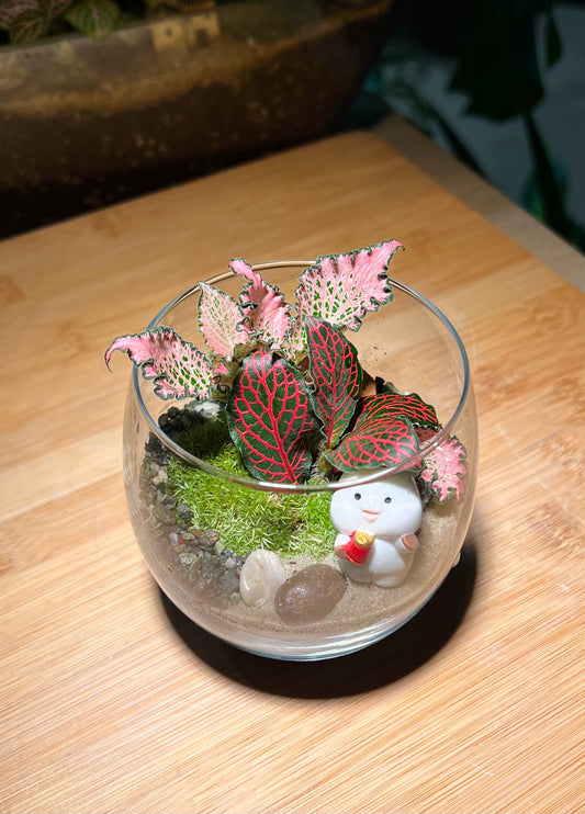 Christmas Theme - Fittonia with Moss Arrangement in Crystal Glass